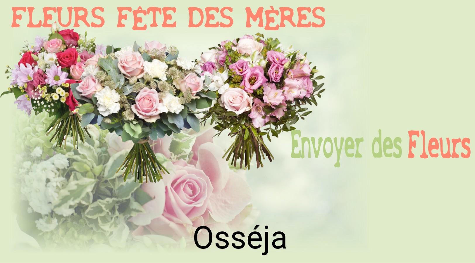 Bouquet de Fête des Mères livré à Osséja
